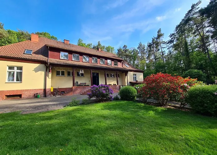 Pasjonat Tu Tuczno (Walcz)